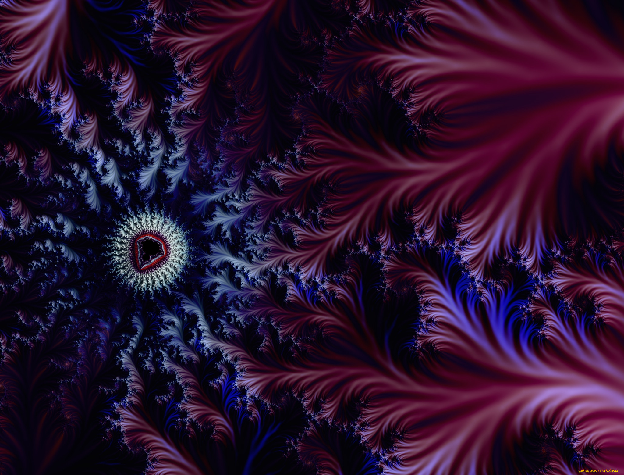 3, , fractal, , , , 